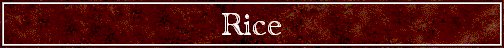 Rice