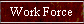 Work Force